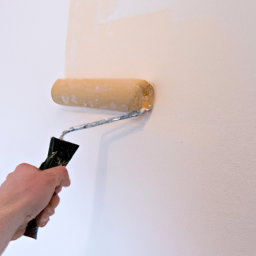 Décoration Murale Intérieure: Personnalisation de votre Espace de Vie Dzaoudzi